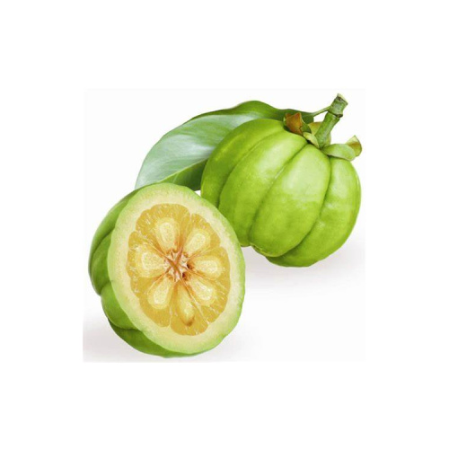 Feed Additives Fruit Powder CAS 90045-23-1 60% HCA Garcinia Cambogia Powder Manufactory