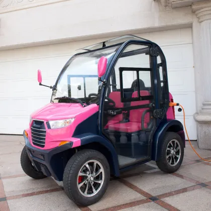 LVTONG 2 Seater Low Speed Electric Vehicle with Closed Doors