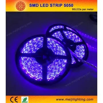 Purple decorating strip light  -N