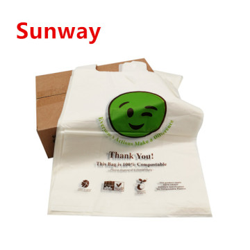 Custom Biodegradable Shopping Bags