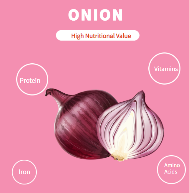 Onion Powder 2