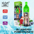 Kit de pods descartáveis ​​R&amp;M Paradise 10000 Puffs