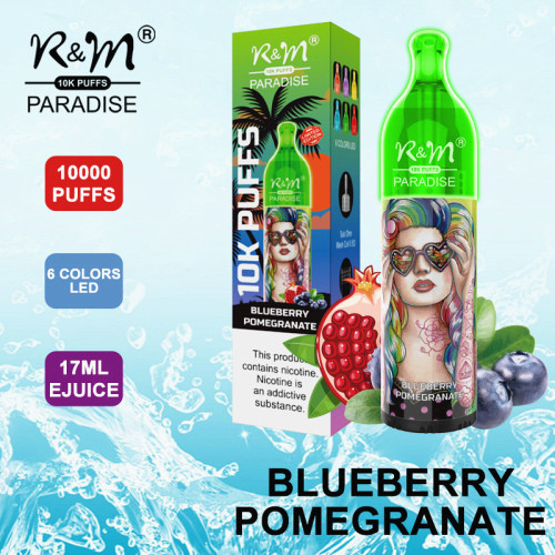 Kit de pods descartáveis ​​R&amp;M Paradise 10000 Puffs