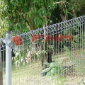 PVC Γαλβανισμένο Roll Top Φράχτη BRC φράχτη