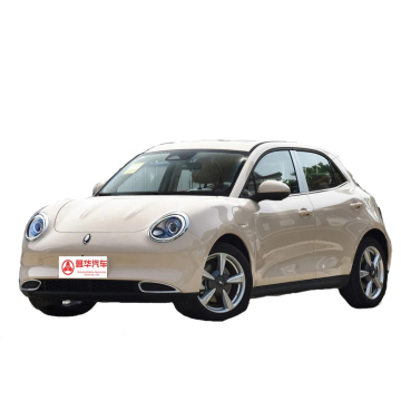 Changcheng Oula Haomao 5-Door 5-Seat High-Speed Electric Vehicle For Sale