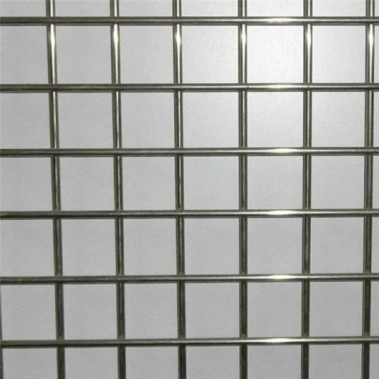 Stainless Steel 304/316 Welded Wire Mesh Panel