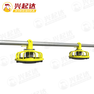 Auto Chicken Poultry Feeding System Equipment