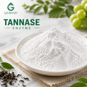 مسحوق إنزيم Tannase لمشروبات الشاي وتطبيقات معالجة النباتات