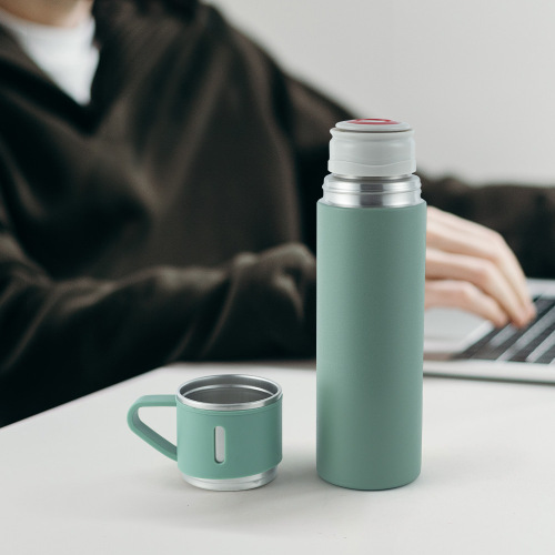Wholesale 500ml Vacuum Insulated Water Bottle With Cup