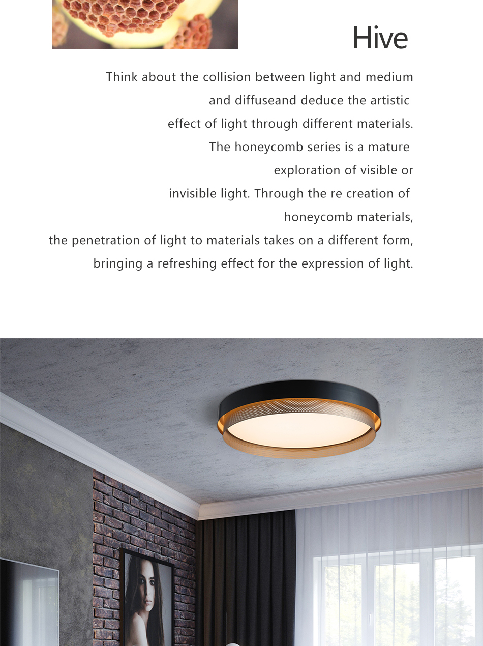 Minimalist Ceiling Lamp Ceiling Light 0355 3