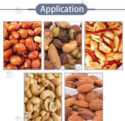 Commercial Peanuts and Almonds Seasoning and Processing Equipment