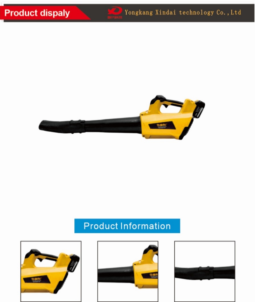 Powerful Lithium Leaf Blower
