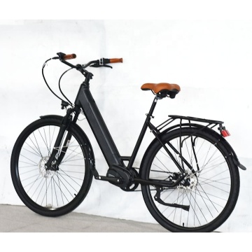 Durability and Power: The Bafang M600 Belt Drive Electric Bike for Urban Commuting
