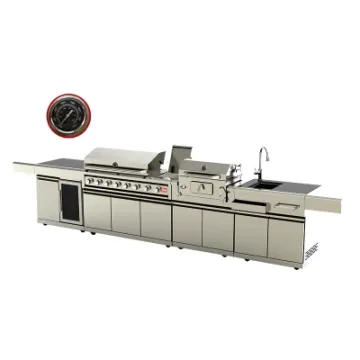 Hot Sale Outdoor Kitchen Cabinet Modern BBQ Gas Grills