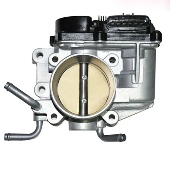 Throttle Body OE Replacement for Car - OEM 22030-28011