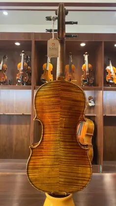 Aged Selected Spruce and Maple Guaneri Handmade violin for Orchestra