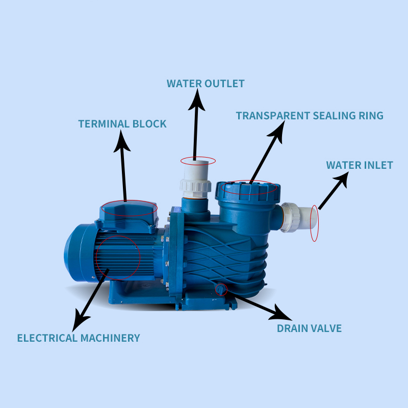 Swimming Pool Water Pump Jpg