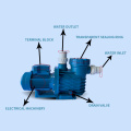 Bomba de piscina bomba de alta presión bomba eléctrica de auga eléctrica