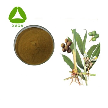 10:1 Amomum Villosum Extract Σκόνη