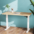 Modern Electric Standing Desk Height Adjustable Motorized Rising Sit and Stand Computer Desk for Office