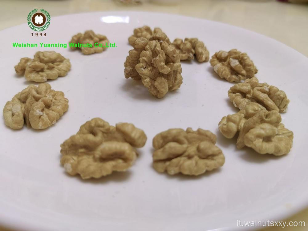Metà del kernel noce metà senza noce conchiglia