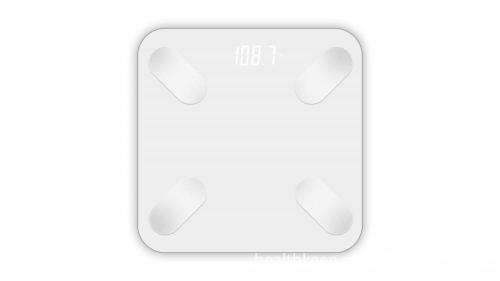 Smart Body Fat Scale