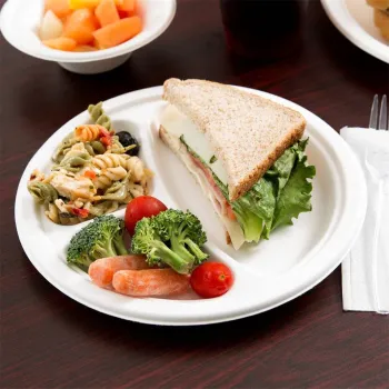 Bagasse 3-Compartment Dinner Plate Sugarcane Paper Plates