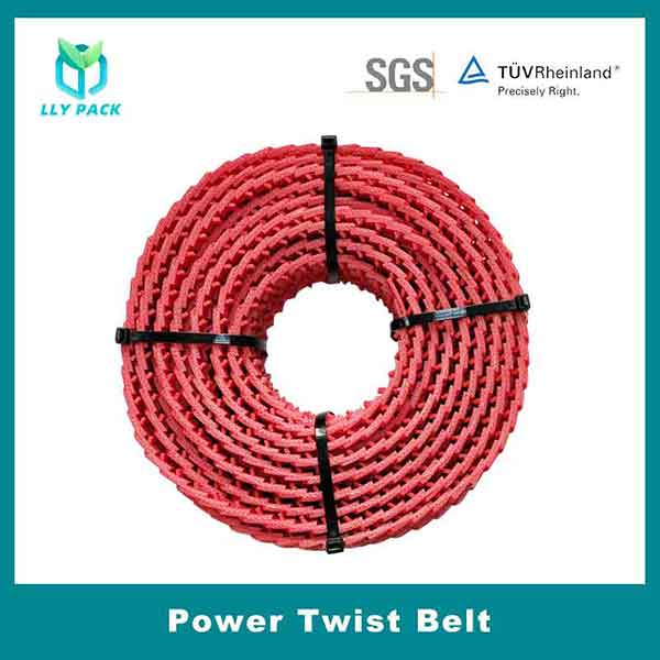 Power Twist Belt (8)