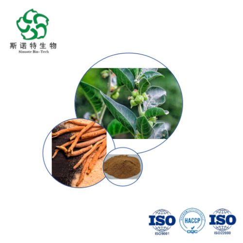 Natural Ashwagandha Extract Powder for Stress & Sleep Support
