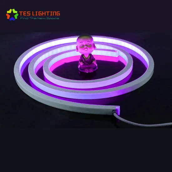 NEW Outdoor Indoor LED Neon Flex Waterproof IP68
