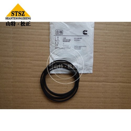 Cummins Spare Parts Rectangular Ring Seal 3820945