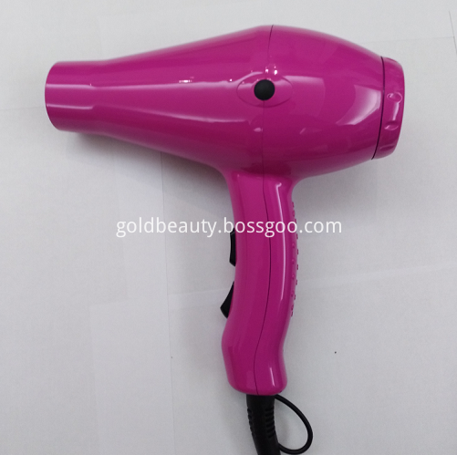 Hair Dryer with Brush Attachment