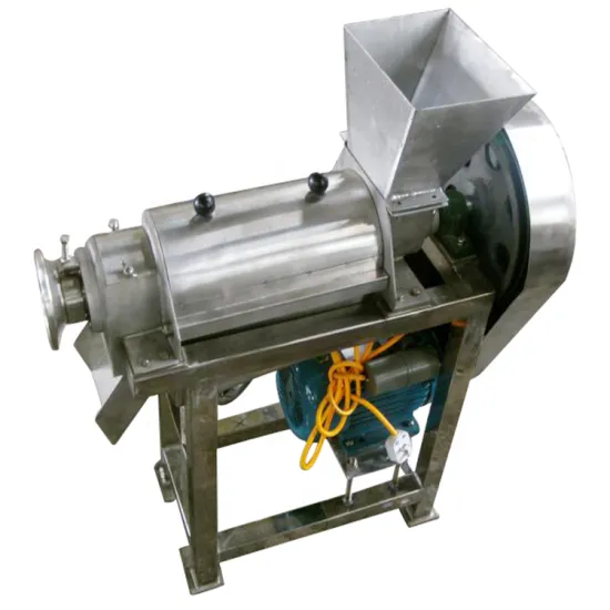 Portable Automatic Cold Press Fruit and Vegetable Juicer Blender