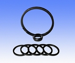 silicon carbide (SSIC) seal ring