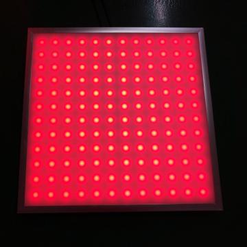 Tak dekorativ DMX RGB LED Matrix Panel Belysning