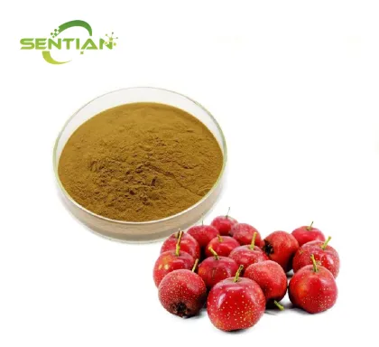 Natural Hawthorn Berry Fruit Powder