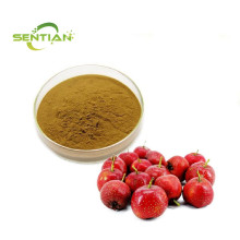 Natural Hawthorn Berry Fruit Powder