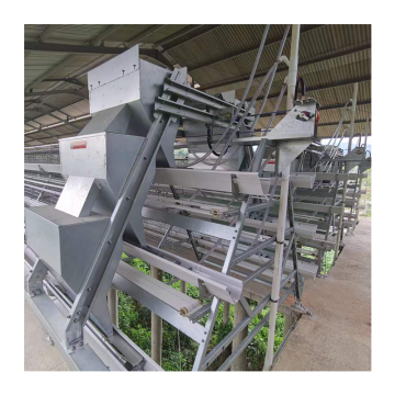 Sistema de bateria automática para aves de aves de aves: gaiolas de camada de ovo de galinha de três e 4 camadas