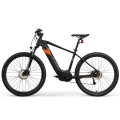 Bicicleta de tierra eléctrica personalizada de 36 V