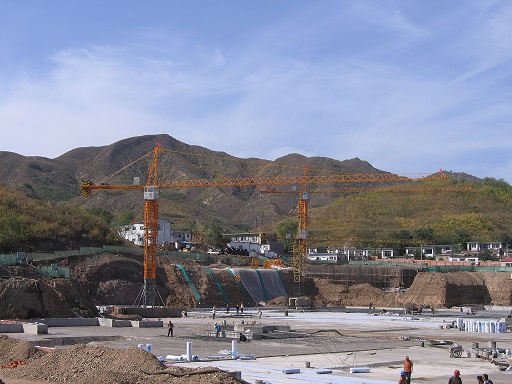 Meilleure vente de la grue de tour de qualité fiduciaire 5T