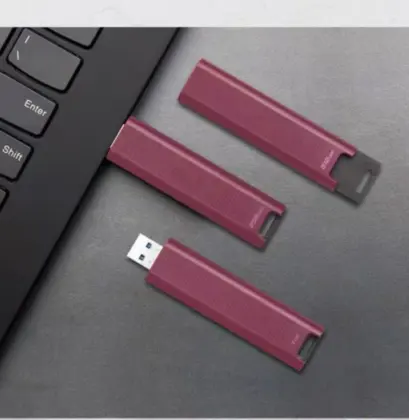 Kingston DTMAX (256GB) Product