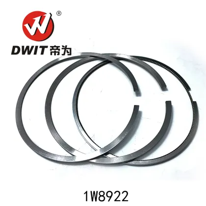 High Quality Piston Ring Set 1W8922 for Caterpillar - Dwit Spare Parts