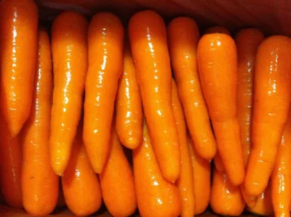 New Crop Fresh Carrot S Grade