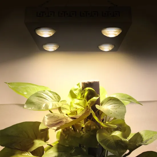 Wholesale Dimmable Full Spectrum CXB3590 COB Plant LED Grow Light 400W
/