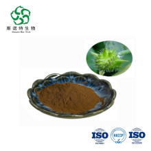 Natural Saponins 90% Powder Tribulus Terrestris Extract