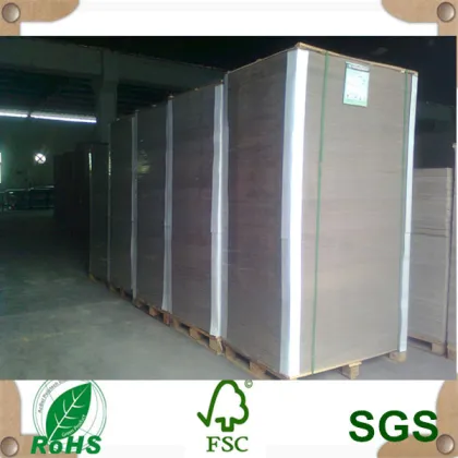 Waste Paper Making Recycle Grey Carton Board/Raw Paper Material Grey Back Paper