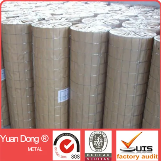 customized service circle corn welded wire mesh with direct factory price