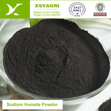 animal Feed Additive sodio sales