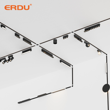 Tuya Zigbee Dali와 함께 빌라 장식을위한 Erdu Modern 24V 벨트 트랙 조명 0-10V