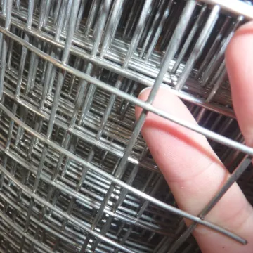 Galvanized Square Welded Wire Mesh